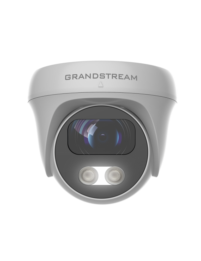 Grandstream GSC3610 Infrared Weatherproof Dome Camera Access Control (view 2) — buy in Malaysia | MYITG