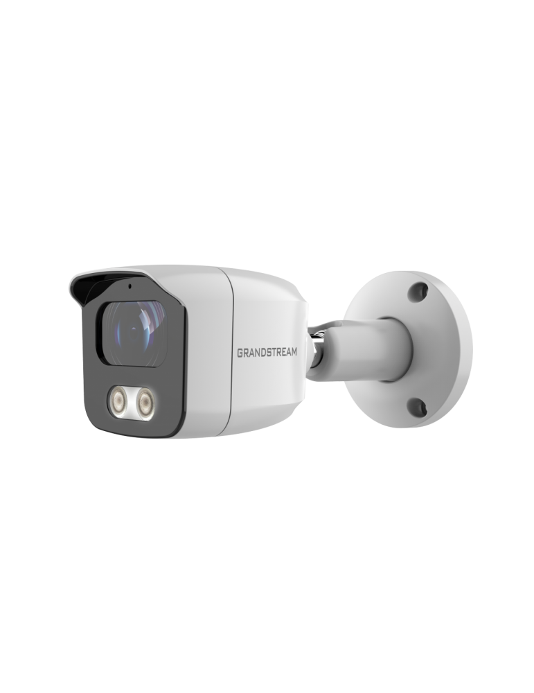 Grandstream GSC3615 Infrared Weatherproof IP Camera Access Control — buy in Malaysia | MYITG